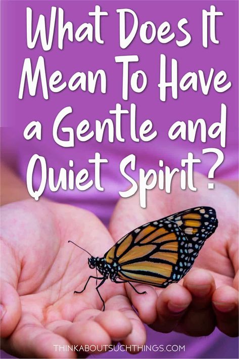 1peter 3:3-4, 1 Peter 3:3-4, Gentleness Quotes, Gentle And Quiet Spirit, Quiet Spirit, Christian Lifestyle Blog, Peter 3, Personal Bible Study, I Need Jesus