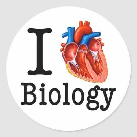 Biology Anatomy Art, Biology Dp For Whatsapp Group, Biology Group Chat Names, Biology Wallpaper Science, Biology Logo Design, Biology Design Ideas, Small Cute Stickers, Biology Cover Page Design, Biology Wallpaper