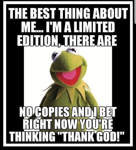 Kermit Funny, Funny Day Quotes, Sarcastic Jokes, Funny Quotes Sarcasm, Funny Inspirational Quotes, Jokes And Riddles, Funny Jokes For Adults, Funny Thoughts, Funny Cartoon Quotes