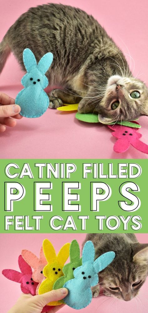 These Bunny Peeps Catnip Toys are the sweetest DIY you can make for your pet this spring and using acrylic craft felt, they’re cheap, too! Felt Cat Toys, Bunny Peeps, Chat Diy, Homemade Cat Toys, Diy Pet Toys, Diy Cat Toys, Cats Diy Projects, Homemade Cat, Catnip Toys