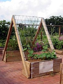 Vegetable gardening on a deck and Ideas for vertical gardening - Teepee planters Vertical Vegetable Gardens, Vertical Vegetable Garden, Plants Growing, Backyard Vegetable Gardens, Vertical Gardens, Garden Types, Organic Garden, Have Inspiration, Vegetable Garden Design