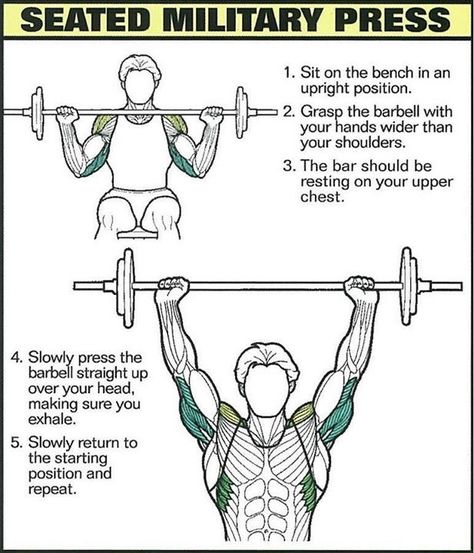 Shoulder Exercise, Tuesday Workout, Workouts Exercises, Study Info, Best Shoulder Workout, Burn Fat Build Muscle, Full Body Training, Push Workout, Exercises For Beginners