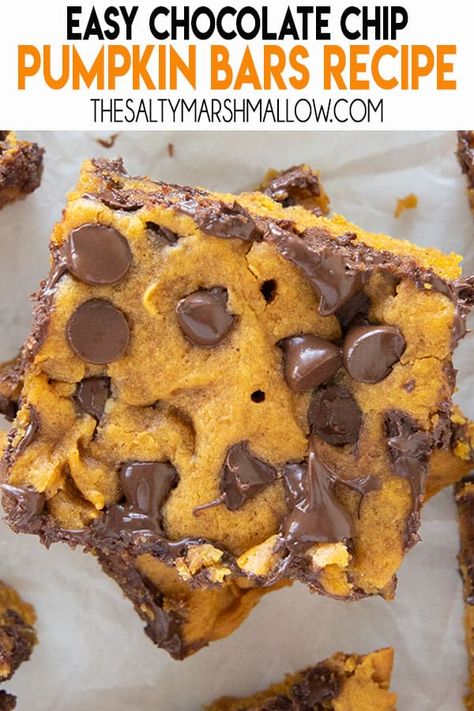 Chocolate Chip Pumpkin Bars, Roots Recipes, Fall Sweets, The Salty Marshmallow, Salty Marshmallow, Butter Sugar Cookies, Chocolate Chip Bars, Pumpkin Chocolate Chip, Recipes With Marshmallows