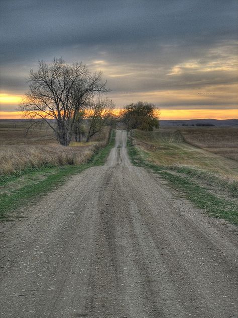 dirt road reminds me of Hico, Texas... Country Roads Take Me Home, Gravel Road, Country Scenes, Dirt Road, Back Road, Take Me Home, North Dakota, Beautiful Landscapes, Landscape Photography