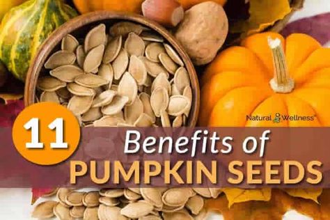 11 Health Benefits of Pumpkin Seeds Benefits Of Pumpkin Seeds, Benefits Of Pumpkin, Pumpkin Seeds Benefits, Sperm Health, Seeds Benefits, Edible Seeds, Pumpkin Seed, Healthy Oils, Healthy Aging