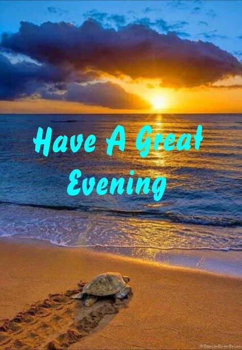 Sunday Evening Blessings, Evening Pics, Turtle Quotes, Good Evening Images, Evening Blessings, Have A Wonderful Evening, Evening Images, Goodnight Wishes, Good Evening Messages