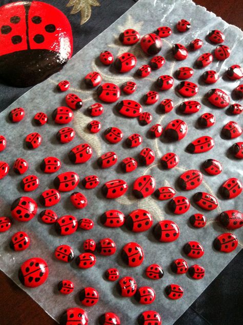 Painted ladybug rocks for Geocaching swag. Geocache Ideas Containers, Geocache Swag, Geocaching Swag, Painted Ladybug, Geocaching Ideas, Ladybug Rocks, Swag Ideas, Girl Scout Swap, Girl Scout Ideas