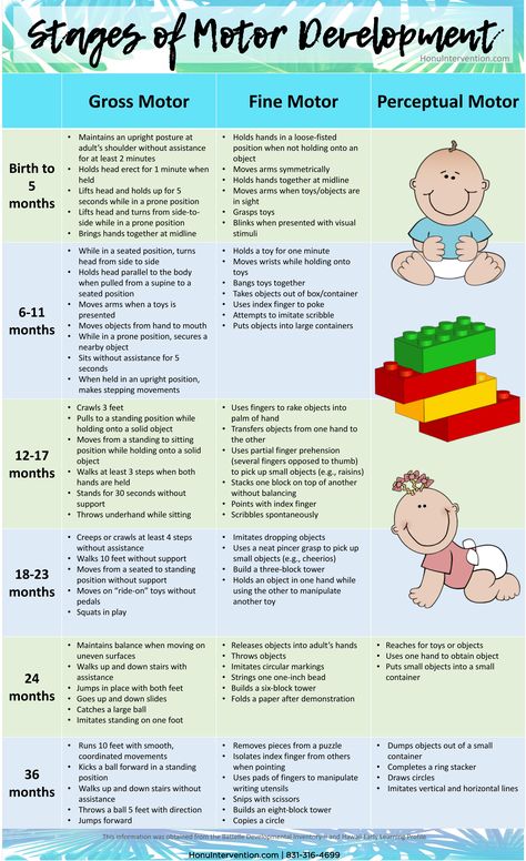 Stages of Motor Development Fine Motor Development Chart, Infant Physical Development Activities, Baby Stages Of Development, Erickson Stages Of Development, Piaget Stages Of Development, Eriksons Stages Of Development, Developmental Milestones Toddlers, Prenatal Development, Child Development Theories