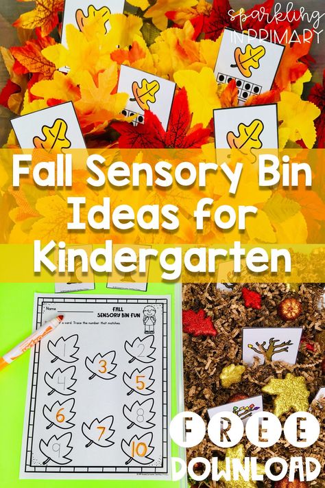 Sensory Bins For Kindergarten, Prek Sensory, For Kindergarten Activities, Small Group Math Activities, Kindergarten Small Groups, Kindergarten Sensory, Fall Kindergarten Activities, Fall Math Centers, Fall Math Activities