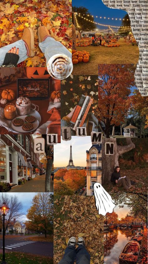 🎃🍂🎬🧦🕯️ (tag and give me credit if you use) Fall Collage, Vintage Halloween Art, Halloween Wallpaper Iphone Backgrounds, Frank Zhang, Orange Moon, Fall Mood Board, Fall Mood, Tumblr Backgrounds, Music Collage