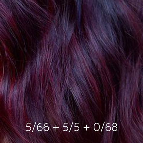 Wine Red Hair Color, Red Violet Hair Color, Red Hair Outfits, Black Cherry Hair Color, Burgundy Hair Dye, Black Cherry Hair, Red Violet Hair, Cherry Hair Colors, Wine Hair Color