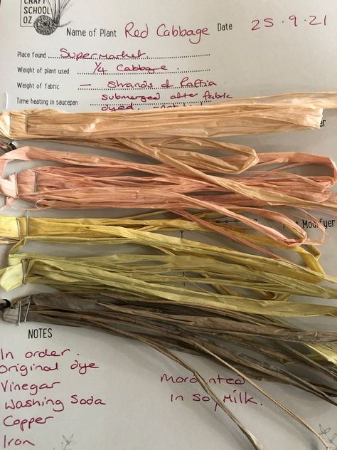 Can I Dye Raffia to Weave a Raffia Basket ? A guide to adding colour. Natural Dyeing Techniques, Raffia Basket, Raffia Palm, Washing Soda, Plant Fibres, Plant Dyes, Dyeing Techniques, Soft Purple, Eucalyptus Leaves