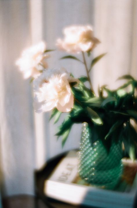 Cottagecore Aesthetic Icon, Flower Film, Mermaid Sketch, Photography Assignments, Vase Of Flowers, Coffee Flower, Film Photography 35mm, Cute Pastel Wallpaper, Cottagecore Aesthetic