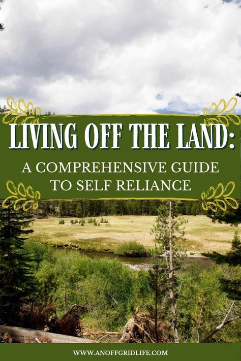 Living Off The Land Self Sufficient, Off Grid Homestead Sustainable Living, How To Live Off The Land, How To Be Self Sufficient, Off Grid Living Canada, Living Off The Grid Books, Survival Preparedness, Homesteading Tips, Off Grid Survival