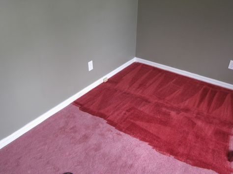 DIY Carpet Dye (with RIT!) Dye Carpet With Rit, Dye Carpet, Carpet Diy, Rit Dye, Carpet Cleaning Hacks, Brown Carpet, Carpet Styles, Diy Carpet, Bedroom Paint Colors