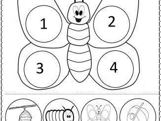 free Life Of Cycle Butterfly Worksheet – Preschoolplanet Life Cycle Of A Butterfly Toddlers, Lifecycle Of A Butterfly Preschool, The Very Hungry Caterpillar Life Cycle, Preschool Life Cycle Of A Butterfly, Butterfly For Preschoolers, Cycle Of Butterfly Preschool, Life Cycle Of A Caterpillar, Caterpillar Butterfly Preschool, Butterfly Lifecycle Preschool