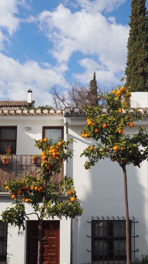 Spanish Aethstetic, Rural Spain Aesthetic, Andalucia Spain Aesthetic, Home In Spain, Vacation In Spain Aesthetic, Spain House Aesthetic, Orange Trees Aesthetic, Spain Aethestic, Spain Vibes Aesthetic