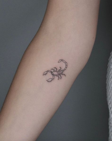 Small Scorpion Tattoo, Scorpion Tattoo Ideas, Tattoo Pequeños Mujer, Scorpio Tattoo Ideas, Scorpio Zodiac Tattoos, Scorpio Tattoo, Scorpion Tattoo, Petite Tattoos, Zodiac Tattoos