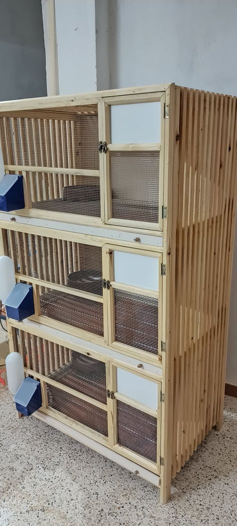 Racing Pigeon Lofts, Pigeon Loft Design, Pigeon Cage, Quail Coop, Bird Cage Design, Pigeon House, Chicken Coop Garden, Pigeon Loft, Poultry House