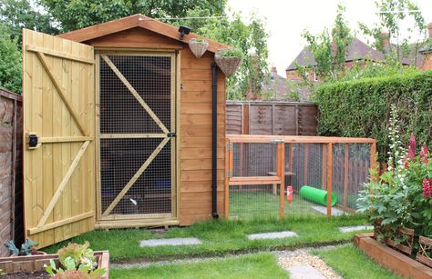 Shed and run Bunny Sheds Outdoor, Guinea Pig Shed Ideas, Rabbit Shed Ideas, Bunny Sheds, Diy Bunny Cage, Rabbit Shed, Outdoor Rabbit Hutch, Rabbit Enclosure, Guinea Pig Hutch