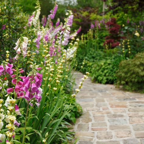 14 garden path ideas – curved and straight walkway designs in gravel, brick and stone for every budget Brick Pathway Garden, Paving Stones Walkway, Cottage Front Garden, Front Garden Path, Walkway Designs, Garden Path Ideas, Small Front Gardens, Brick Pathway, Brick Path