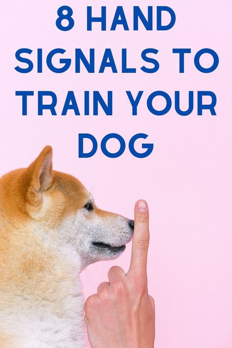 Train your dog in minutes with these 8 easy hand | #Stop_Dogs_From_Digging #Dog_Behavior_Problems #Easiest_Dogs_To_Train #Basic_Dog_Training Stop Dogs From Digging, Shih Tzu Training, Dog Training Hand Signals, Dog Hand Signals, Hilarious Dogs, K9 Training, Service Dog Training, Easiest Dogs To Train, Basic Dog Training