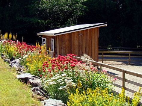 Small stable with paddock | Stables | Pinterest | Beautiful ... Fenceline Landscaping, Paddock Ideas, Small Stable, Pasture Shelter, Gorgeous Landscaping, Farm Landscaping, Dressage Arena, Horse Paddock, Barn Stalls