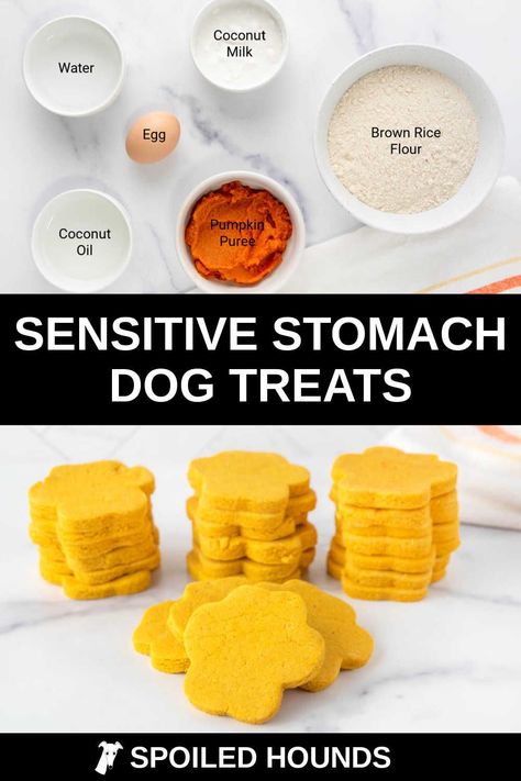 Healthy No Bake Dog Treats, Halloween Dog Treats Diy, Dog Treats For Dogs With Sensitive Stomachs, Treats For Dogs With Sensitive Stomach, Low Cal Dog Treats, Pumpkin Snacks For Dogs, Dog Candy Recipe, Sensitive Stomach Dog Treats, Dog Treat Recipes For Sensitive Stomachs