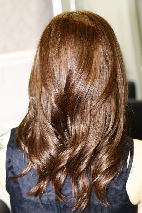 Milk Chocolate Brown Hair, Milk Chocolate Hair, Medium Brunette, Coffee Brown Hair, Light Browns, Mocha Hair, Brunette Hairstyles, Feminine Hairstyles, Coffee Hair