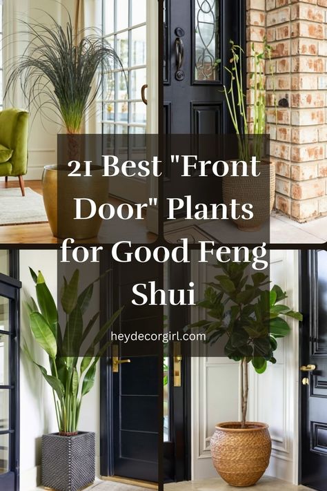 Plants for Good Feng Shui, an ancient Chinese practice, emphasizes the harmonious arrangement of space to enhance the flow of energy, Chinese Entryway Ideas, Feng Shui Front Door Mat, Feng Shui Home Design, Entryway Feng Shui, Feng Shui Plants Front Doors, Feng Shui Entryway Ideas, Feng Shui Entryway, Feng Shui Entrance, Door Entrance Decor