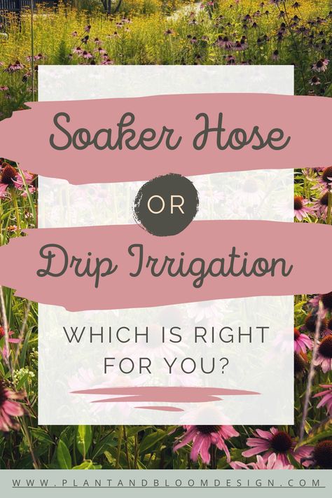 Discover the secrets of efficient watering with our comparison of soaker hoses and drip irrigation systems. Make watering a breeze while promoting healthy plant growth with these water-saving methods! Drip Irrigation System Design, Soaker Hose Irrigation, Cheap Garden Ideas, Watering Trees, Drip Hose, Garden Ideas Diy Cheap, Garden Ideas For Small Spaces, Irrigation Methods, Front Yard Garden Ideas