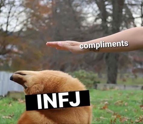 Myers Briggs Infj, Infj Relationships, Infj Traits, Infj Humor, Infj Problems, Infj Psychology, Intj And Infj, Infj Mbti, Mbti Memes