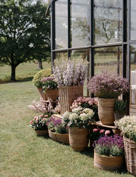 A Spring Wilderness Wedding in a Glass Orangery - Pocketful Of Dreams Spring Country Wedding Ideas, French Garden Party Wedding, Glass Orangery, Wilderness Wedding, Flower Workshop, Zoo Wedding, Countryside Wedding, Garden Party Wedding, Luxury Wedding Planner