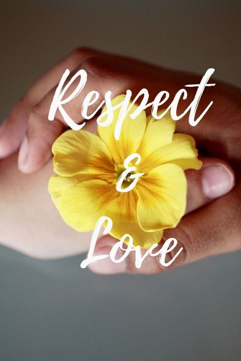 Love and Respect imagery
Photo by Luisella Planeta Leoni from Pixabay Love And Respect Quotes, What Is Respect, Respect Images, Wishes Board, Different Kinds Of Love, Fearfully Wonderfully Made, Respect Quotes, Pisces Love, Definition Of Love