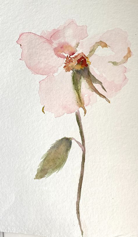 Faden Flowers Collection Pink Rose by Kim Hauck, Watercolor, 11 x 7.5 Watercolour Ideas, Roses Art, Watercolor Flowers Tutorial, Watercolor Flower Art, Watercolor Art Lessons, Arte Inspo, Watercolor Inspiration, Watercolor Rose, Pretty Art