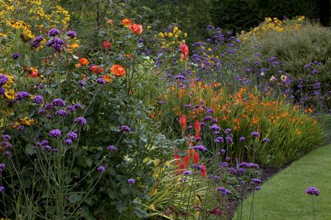 Cottage Garden Colour Scheme, Garden Color Scheme Colour Palettes, Garden Colour Schemes, Border Planting Ideas, Garden Color Scheme, Veg Planters, Wisconsin Garden, Jewel Garden, Hot Garden