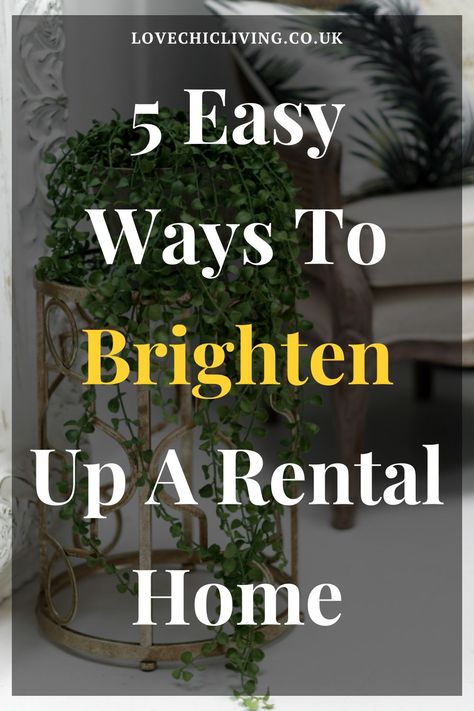 Brighten up your rented home with these vibrant rental home decor ideas. If you're next project is rental home decoration on a budget, you're going to love these quick tips! Putting your own stamp on your first rental home can be tricky, so here's how to decorate a rental without physically leaving a mark! First Rental Home, Rented Home Decor, Decorate A Rental, Decoration On A Budget, Quirky Vases, Rental Home Decor, You're Next, Home Decor Idea, Rental Homes