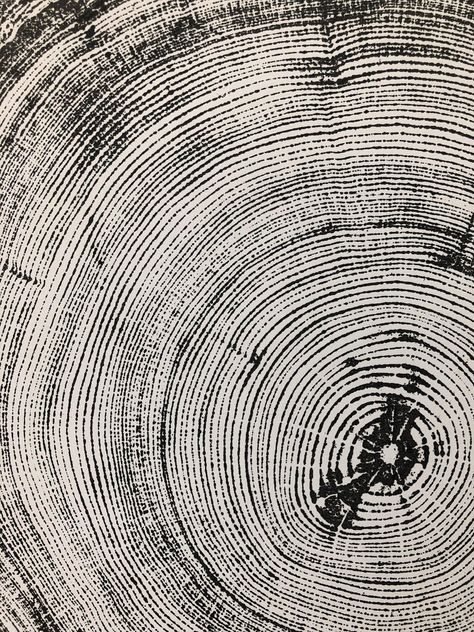 Denver Colorado Tree Ring Art Print Douglas Fir Tree | Etsy Tree Rings Graphic Design, Tree Rings Art, Messages Wallpaper, Tree Symbolism, Tree Ring Prints, Tree Ring Print, Douglas Fir Tree, Tree Ring Art, Tree Circle