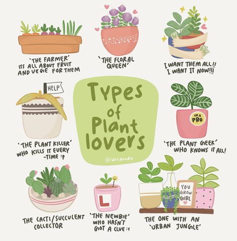 Plant Lady Aesthetic, House Plant Aesthetic, Plants Facts, Types Of House Plants, Plant Instagram, Plant Mom Aesthetic, Doodling Art, Household Plants, Plant Care Houseplant