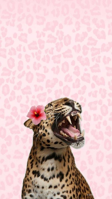 Pink Leopard Wallpaper, Jaguar Wallpaper, Leopard Print Wallpaper, Cheetah Print Wallpaper, Leopard Flower, Tiger Wallpaper, Cute Summer Wallpapers, Bow Wallpaper, Iconic Wallpaper