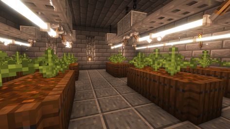 Weed Farm Minecraft Minecraft Hydroponic Farm, Aesthetic Cactus Farm Minecraft, Plant Farm Minecraft, Minecraft Vertical Farm, Minecraft Cattails, Coco Bean Farm Minecraft, Minecraft Plant Store, Minecraft Nuclear Plant, Indoor Farm Minecraft