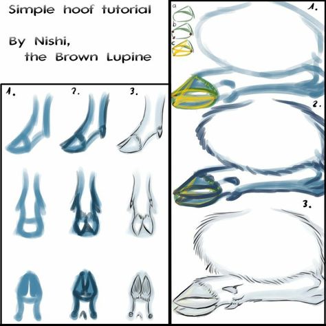 Hooved Animals, Mammal Drawing, Deer Hooves, Antlers Drawing, Deer Reference, Animal Base, Deer Hoof, Deer Drawing, Animal Reference