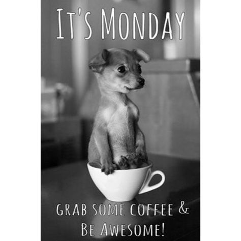 Younique Pictures, Younique Marketing, Quotes For Business, Younique Party, I Love Mondays, Younique Business, Business Excellence, Younique Mascara, Younique Beauty