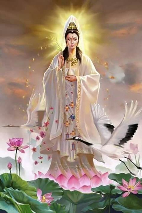 Guanyin or Guan Yin (Chinese : 觀音娘娘/觀世音; Pinyin : Guānyīn niángniáng/Guānshìyīn) is an East Asian bodhisattva associated with compassion and venerated by Mahayana Buddhists and followers of Chinese folk religions, also known as the "Goddess of Mercy" in English. The Chinese name Guanyin, short for Guanshiyin, means "[The One Who] Perceives the Sounds of the World". Kwan Im, Tattoos Aesthetic, Quan Yin, Guan Yin, Kuan Yin, Chinese Mythology, Ascended Masters, Kwan Yin, Sacred Feminine