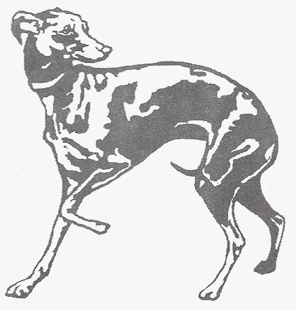 Italian Greyhound Page Grey Hound Illustration, Italian Greyhound Art, Greyhound Tattoo, Grey Hound, Greyhound Art, Leather Designs, Small Icons, Sketchbook Drawings, Pattern Ideas