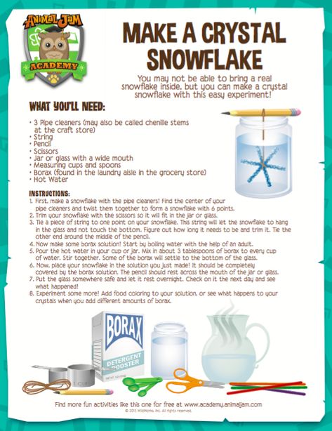 Crystal Snowflake - Animal Jam Academy Snowflake Crystal Experiment, Animal Jam Academy, Animal Jam Academy Science, Vetenskapliga Experiment, Homeschool Science Experiments, Science Club, Anniversaire Harry Potter, Science Party, Theme Harry Potter