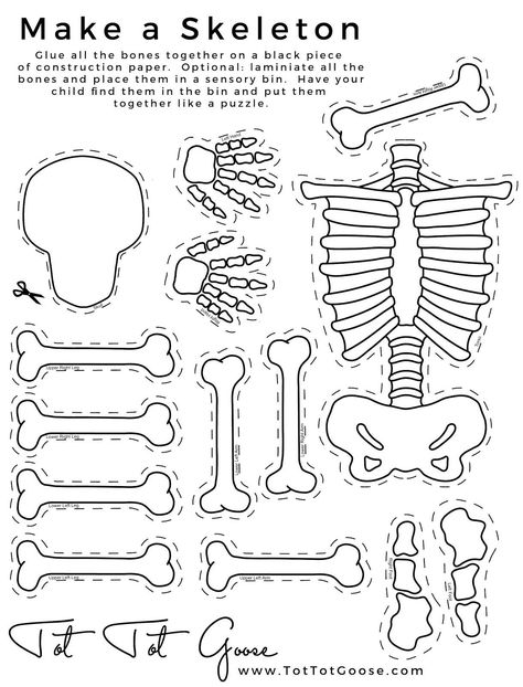 Skeletal System Worksheet Pdf Skeleton Printable All About theme Preschool 7th Grade Skeleton Puppet, Skeletal System Worksheet, Skeleton Craft, Body Preschool, Human Body Unit, Adornos Halloween, Preschool Science, Tot School, Preschool Theme