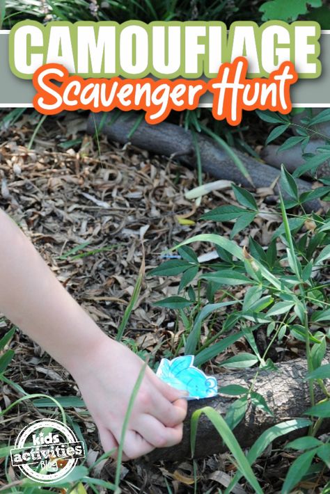 Animal Camouflage Scavenger Hunt w/ Printable | Kids Activities Blog Camoflauge Preschool Activities, Camouflage Activities For Preschoolers, Summer Weekly Themes, Camouflage Activities, Biomes Activities, School Scavenger Hunt, Zoo Preschool, Printable Kids Activities, At Home Preschool