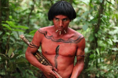 Green Inferno, Eli Roth, Movie Stills, Action Movies, Movies Online, Movies To Watch, Green, Action Films