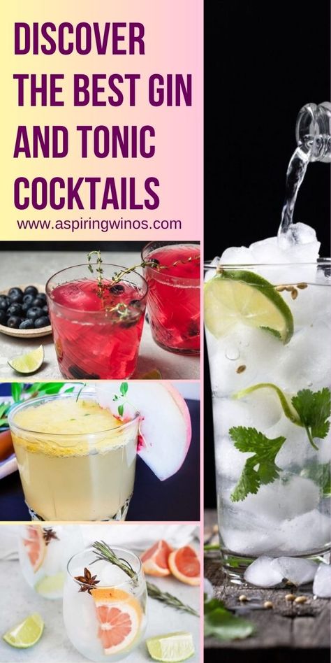 Discover the Best Gin and Tonic Cocktails | Gin and Tonic Cocktails | Unique and Classic Gin and Tonic Cocktails To Serve Up | Add a twist to next happy hour with these Gin and Tonic Cocktails | Gin and tonic cocktail recipes #Gin $GinAndTonics #Cocktails #CocktailRecipe #HappyHour Best Gin And Tonic, Tonic Cocktails, Best Gin, Wine Education, Wine Travel, Gin Cocktails, Gin And Tonic, Cocktail Hour, Wine Drinks